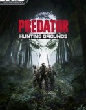 Predator Hunting Grounds