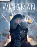 Project Wingman