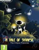 A Tale of Synapse : The Chaos Theories