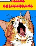 Feline Shenanigans