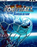 Football Club Simulator