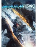 Metal Gear Rising: Revengeance