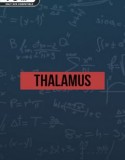 Thalamus