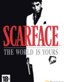 Scarface the World is Yours