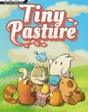 Tiny Pasture