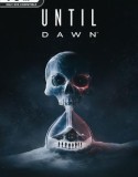 Until Dawn