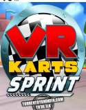 VR Karts SteamVR