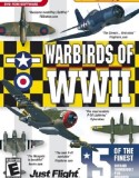 WarBirds: World War II Combat Aviation