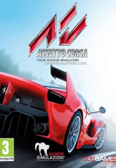 Assetto Corsa – Ready To Race Pack